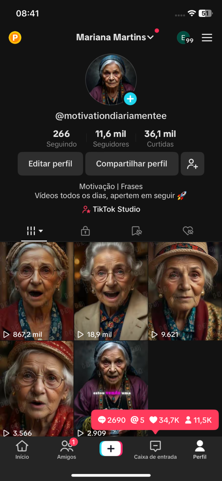 Tiktok 11.6k de motivação CRESCENDO A TODO INSTANTES, PEGOU 1.6k de
